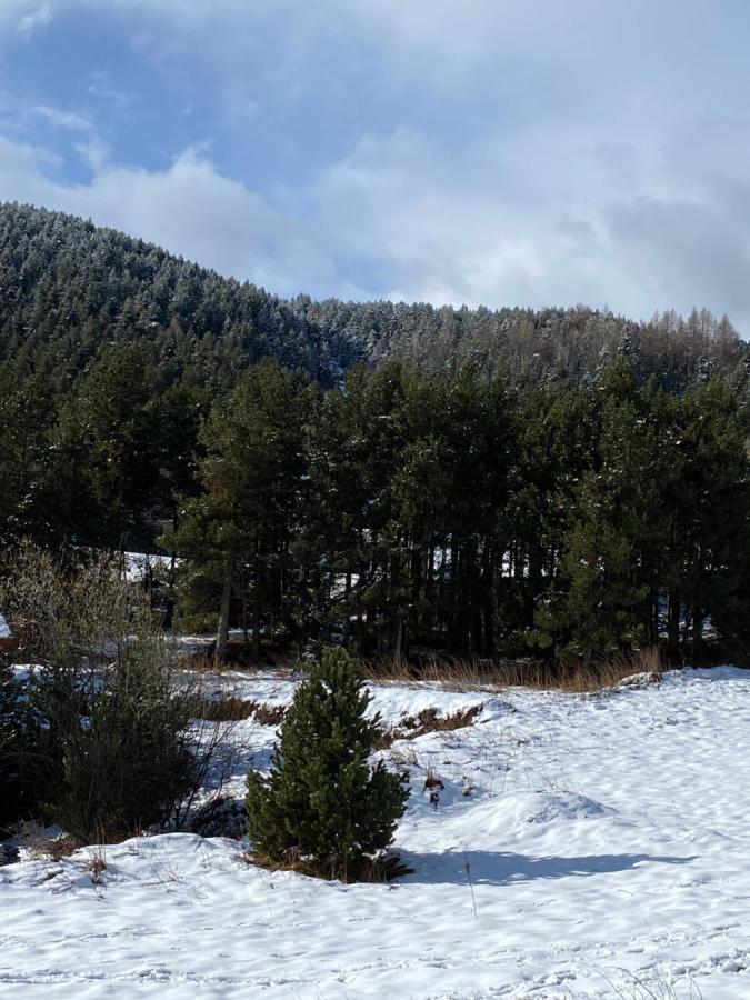 Chalet Au Pieds Des Pistes Le Cambre Aze Bolquere Экстерьер фото